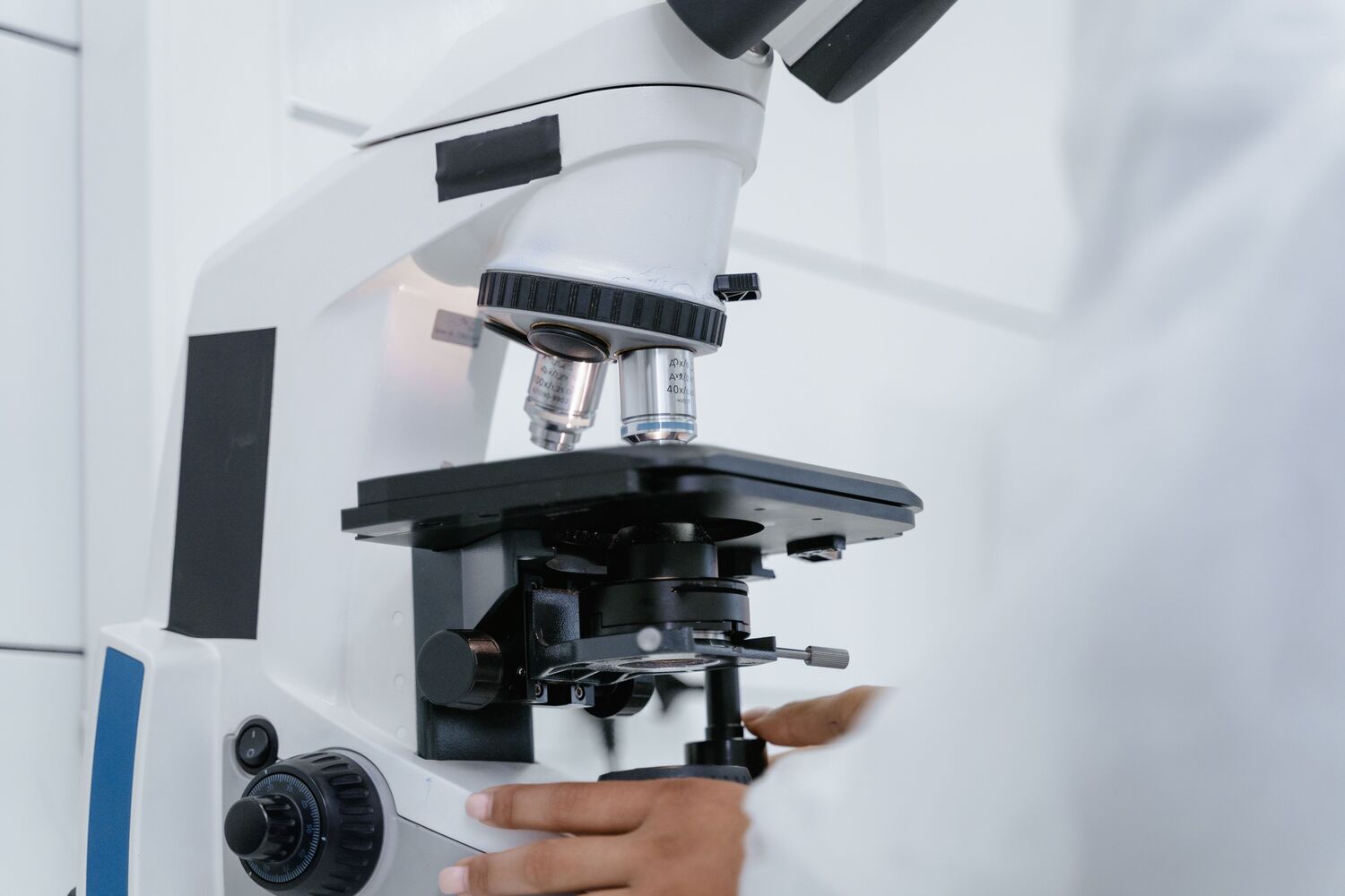 Lab